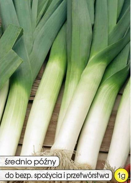 Por WINNER 1g (Allium porrum)