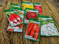 VEGETABLES FOR STARTER seed kit