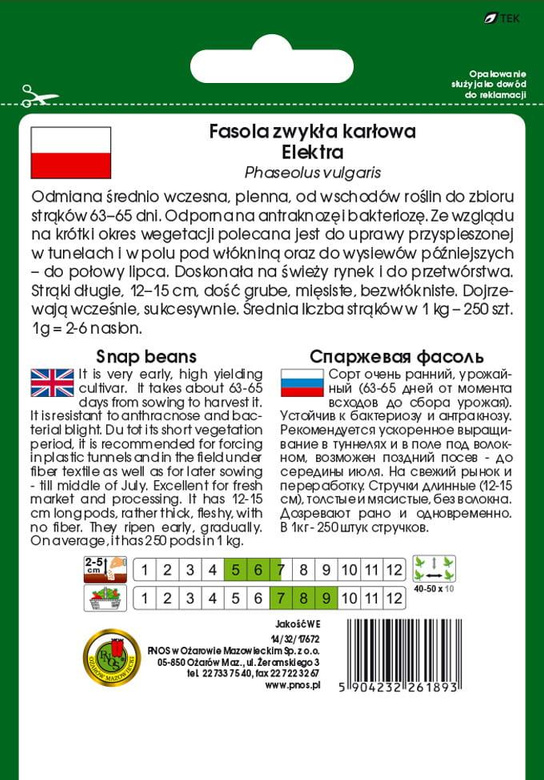 Fasola szparagowa żółta karłowa ELEKTRA 50g (Phaseolus vulgaris)