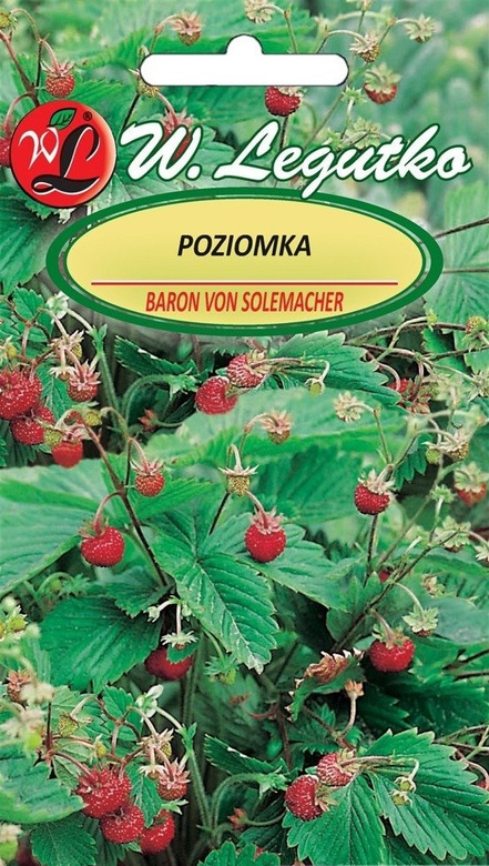 Poziomka BARON VON SOLEMACHER 0,20g (Fragaria vesca)