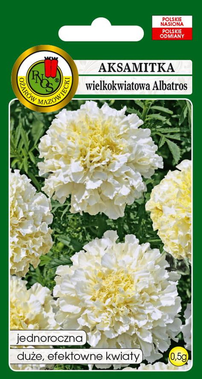 Low-growing double-flowered cream-white French marigold ALBATROS 0.5g (Tagetes erecta fl. pl.)