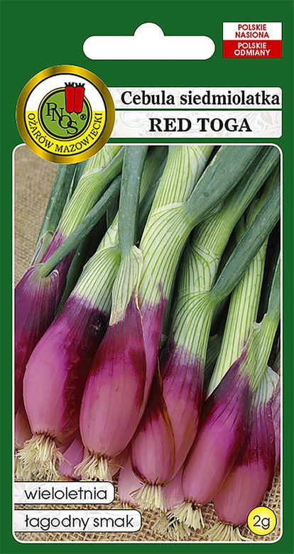 Seven-year-old RED TOGA 2g scallion (Allium fistulosum)