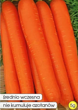 Marchew jadalna RODOS F1 5g (Daucus carota)