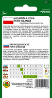 Aksamitka pełna niska PETITE ORANGE pomarańczowa 1g (Tagetes patula nana fl. pl.)
