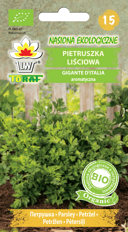 Italian Giant Organic Parsley (Petroselinum hortense Hoffm. var. Foliosum)