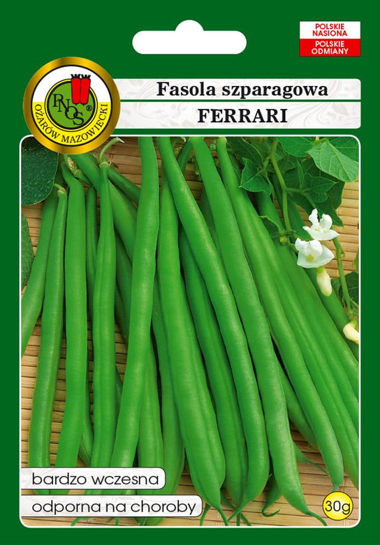 Green dwarf FERRARI beans 30g (Phaseolus vulgaris)