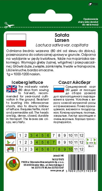 Crisphead lettuce LARSEN 1g (Lactuca sativa var.capitata)