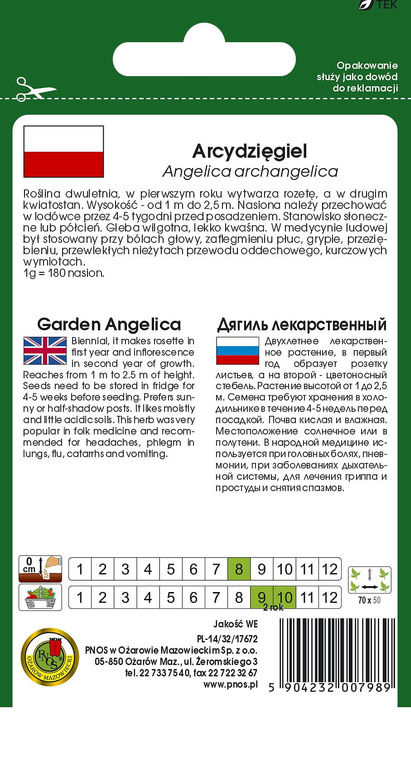 Angelica archangelica (Archangelica officinalis) 0.3g