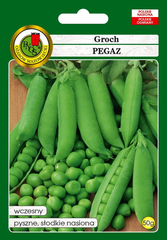 Groch łuskowy PEGAZ 50g (Pisum sativum)