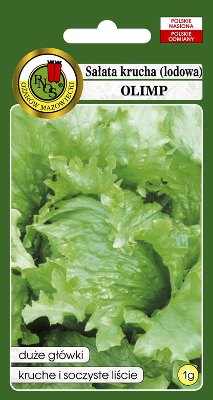 Crisp lettuce (iceberg) OLIMP 1g (Lactuca sativa var. capitata)