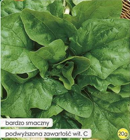 Winter Giant Spinach - Winter Giant Spinach OŻA 20g (Spinacia oleracea)
