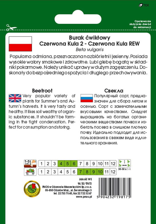 Red Beetroot BALL 2 - RED BALL REW 20g (Beta vulgaris)