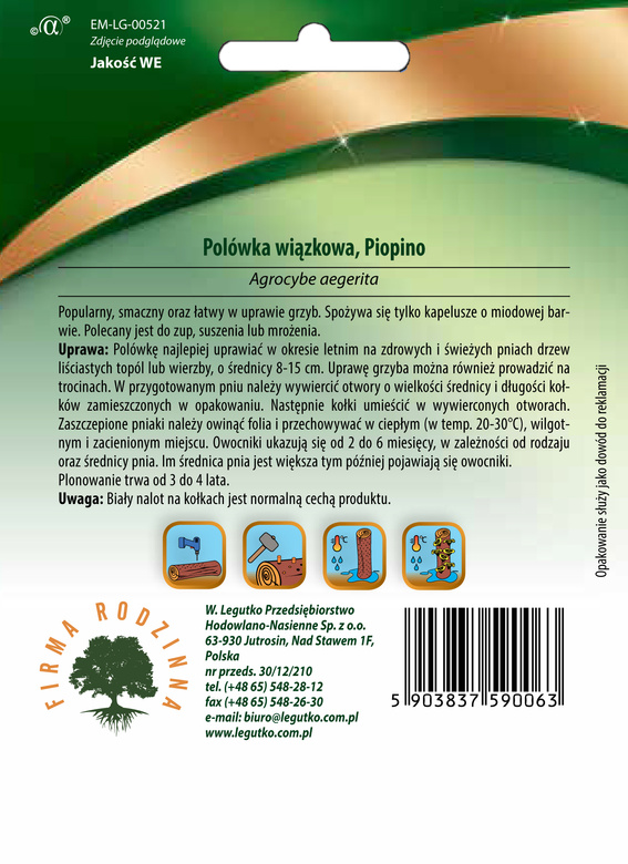 Grzybnia na kołkach Polówka wiązkowa Piopino 20 szt. (Agrocybe aegerita)
