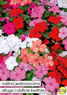 Impatiens walleriana mix 0.2g (Busy Lizzie)