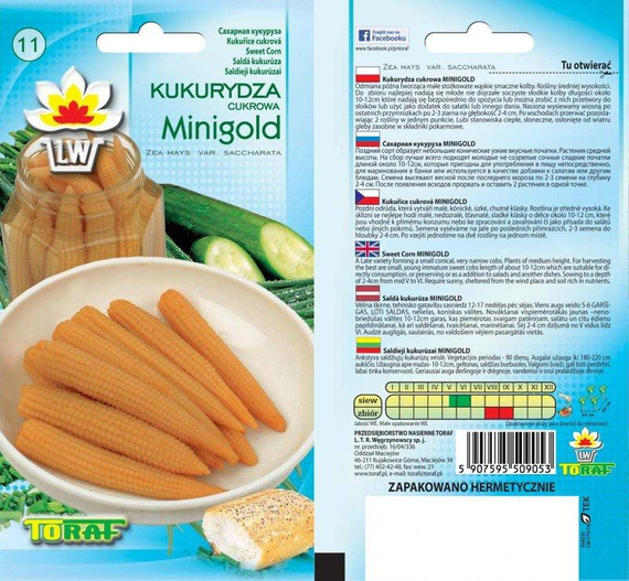 Sugar Corn MINIGOLD 5g (Zea mays var. saccharata)