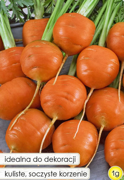 Marchew jadalna MERCADO DE PARIS 3 1g (Daucus carota)