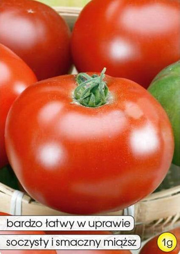 GIGANT Ground Tomato 1g (Solanum lycopersicum L.)