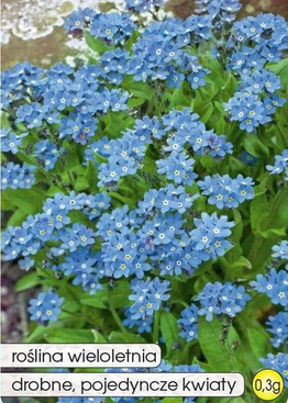 Blue forget-me-not 0.3g (Myosotis sylvatica)