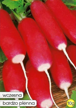 Radish MILA 10g (Raphanus sativus var. sativus)
