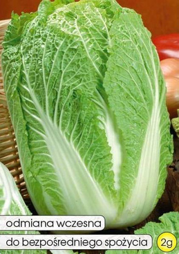 Bristol Chinese cabbage 2g (Brassica pekinensis)