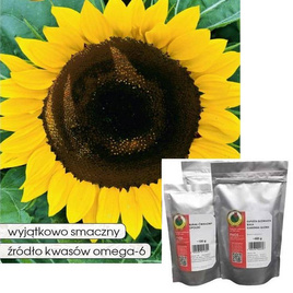 Słonecznik ogrodowy jadalny 500g (Helianthus annuus)