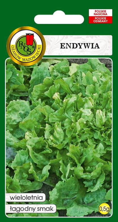 Curly endive DE MEAUX 0.5g (Cichorium endivia)