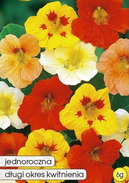 Climbing Nasturtium Mix 6g (Tropaeolum maj. maximum)