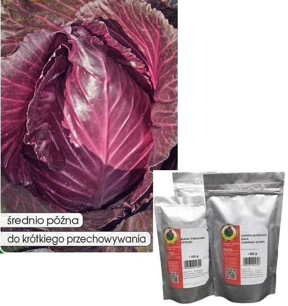 Kapusta głowiasta czerwona stożkowa KALIBOS 10g (Brassica oleracea convar. capitata var. Rrubra)