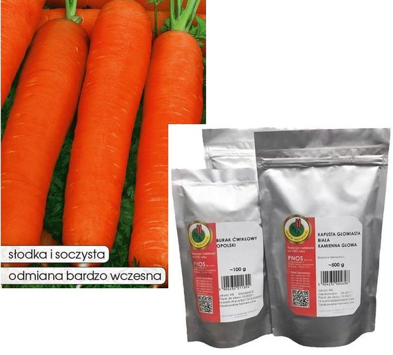 Marchew jadalna PIERWSZY ZBIÓR 50g (Daucus carota)