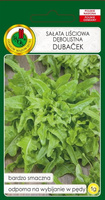 Sałata liściowa dębolistna DUBACEK 1g (Lactuca sativa var. capitata)