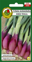 Cebula siedmiolatka RED TOGA 2g (Allium fistulosum)