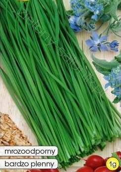 Chives WULKAN 1g (Allium schoenoprasum)