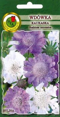 Caucasian Widow Mix 0.3g (Scabiosa caucasica)