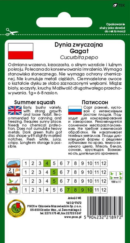 Patison Dynia zwyczajna GAGAT 3g (Cucurbita pepo)