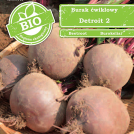 Detroit 2 Beetroot 10g (Beta vulgaris)