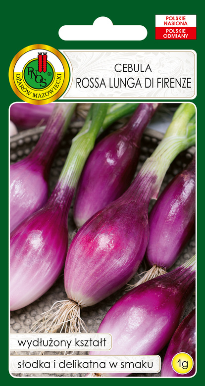 Long red onion ROSSA LUNGA DI FIRENZE 1g (Allium cepa)