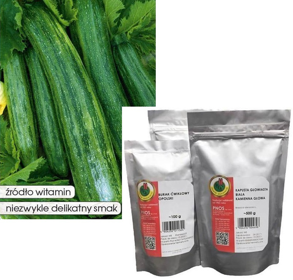 Zucchini Nimba 100g (Cucurbita pepo)