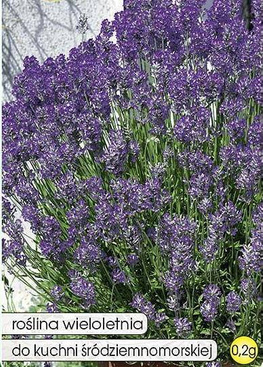 Medical lavender 0.2g (Lavandula officinalis)