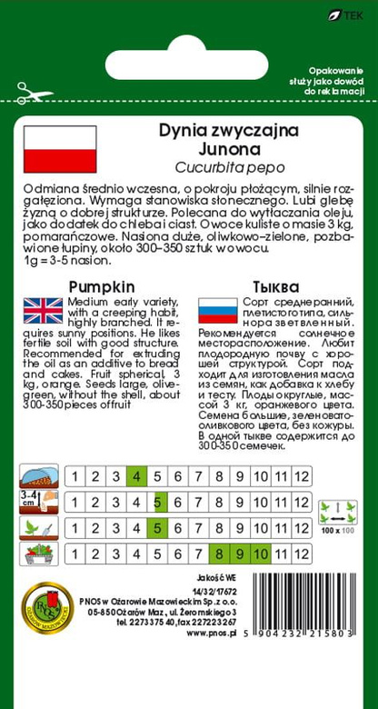 Dynia zwyczajna bezłupinowa JUNONA 5g (Cucurbita pepo)