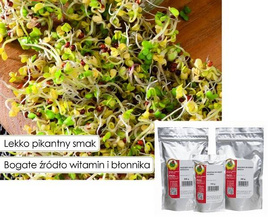 Sprouts Seeds KALE 100g