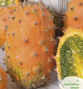 Kiwano African Cucumber 0.2g (Cucumis metuliferus)