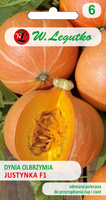 Giant pumpkin JUSTYNKA F1 4g (Cucurbita maxima)