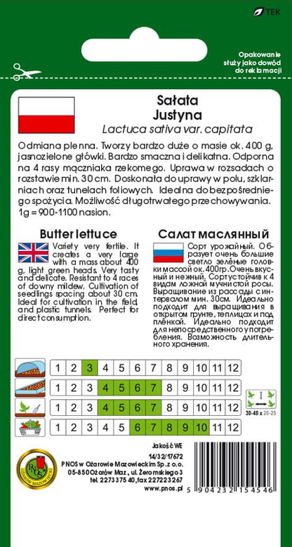 Butterhead lettuce JUSTYNA 1g (Lactuca sativa var.capitata)