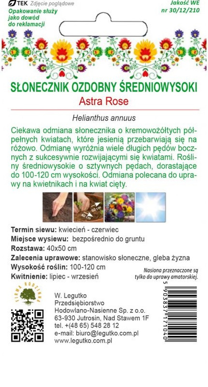 Decorative sunflower ASTRA ROSE 1g (Polish Flowers) (Helianthus annuus)