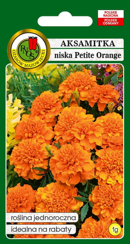 Aksamitka pełna niska PETITE ORANGE pomarańczowa 1g (Tagetes patula nana fl. pl.)