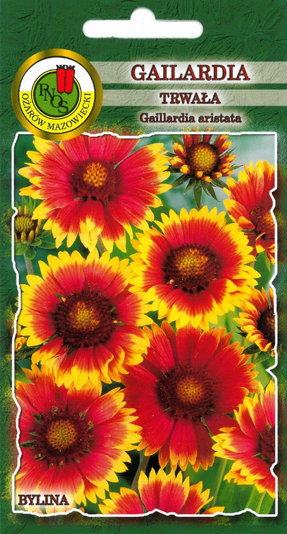 Perennial Gaillardia weighs 1.5g (Gaillardia aristata)