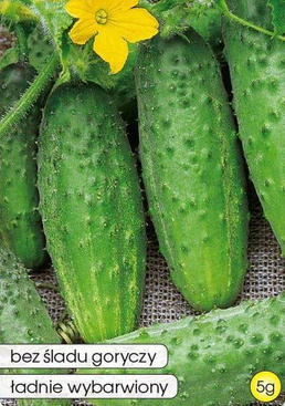 Ogórek gruntowy HELA F1 5g (Cucumis sativus)