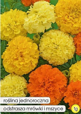 Marigold Full Tall Mix 1g (Tagetes erecta fl. pl.)