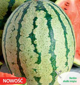 Watermelon Kawon MORO F1 0.5g (Citrullus lanatus)