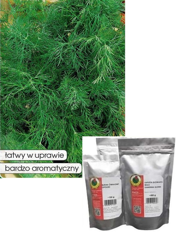 Koper ogrodowy SZMARAGD 500g (Anethum graveolens)